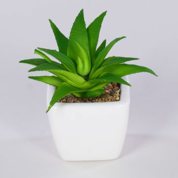 Aloe vera artificiel KATNISS, pot en céramique, vert, 9cm
