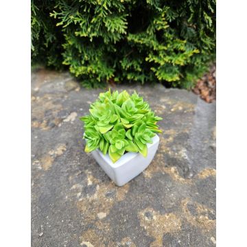 Echeveria macdougallii artificiel KATNISS, pot en céramique, vert, 12cm Echeveria macdougallii artificiel KATNISS, pot en céramique, vert, 12cm