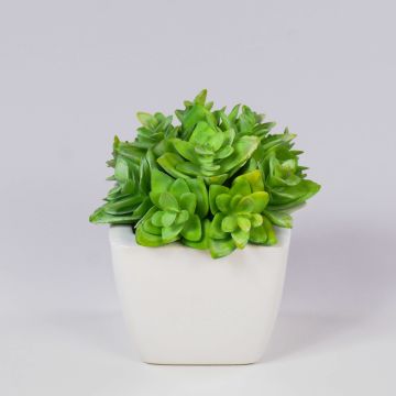 Echeveria macdougallii artificiel KATNISS, pot en céramique, vert, 12cm Echeveria macdougallii artificiel KATNISS, pot en céramique, vert, 12cm