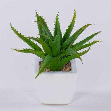 Aloe vera artificiel KATNISS, pot en céramique, vert, 19cm