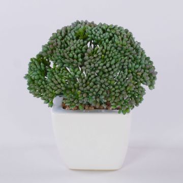 Sedum telephium artificiel KATNISS, pot en céramique, vert, 14cm Sedum telephium artificiel KATNISS, pot en céramique, vert, 14cm