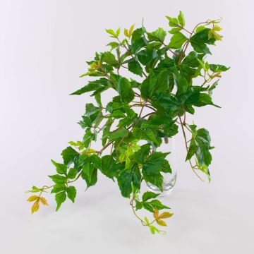 Plante artificielle « vigne vierge à trois pointes » ZANTI sur tige, vert-marron, 50 cm Plante artificielle « vigne vierge à trois pointes » ZANTI sur tige, vert-marron, 50 cm