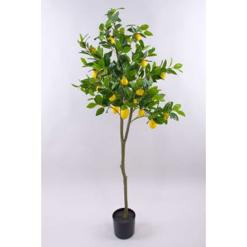 Citronnier artificiel AINSLEY avec des fruits, tronc artificiel, 150cm Citronnier artificiel AINSLEY avec des fruits, tronc artificiel, 150cm