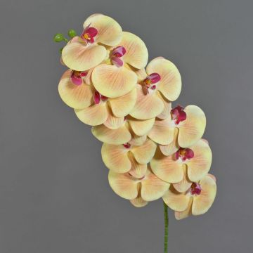 Branche artificielle Orchidée Phalaenopsis XURI, jaune clair-rose fuchsia, 100cm Branche artificielle Orchidée Phalaenopsis XURI, jaune clair-rose fuchsia, 100cm