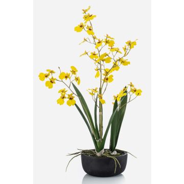 Fausse orchidée Oncidium DEISHA en coupe décorative, racines, jaune, 60cm