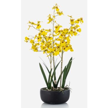 Fausse orchidée Oncidium DEISHA en coupe décorative, racines, jaune, 70cm