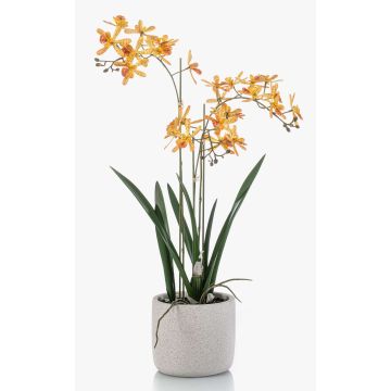 Orchidée Renanthera monachica artificielle BLANI dans un pot en céramique, racines, jaune-rose fuchsia, 55cm Orchidée Renanthera monachica artificielle BLANI dans un pot en céramique, racines, jaune-rose fuchsia, 55cm