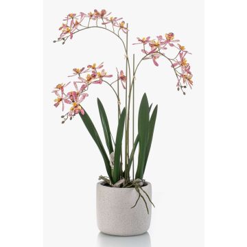 Orchidée Renanthera monachica artificielle BLANI dans un pot en céramique, racines, blanc-rose fuchsia-jaune, 55cm Orchidée Renanthera monachica artificielle BLANI dans un pot en céramique, racines, blanc-rose fuchsia-jaune, 55cm