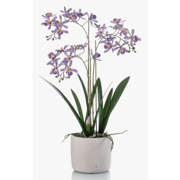 Orchidée Renanthera monachica artificielle BLANI dans un pot en céramique, racines, violet-blanc-jaune, 55cm