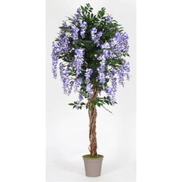 Glycine artificielle ANNIARA, troncs en bois véritable, avec des fleurs, lilas, 200cm - Made in Italy