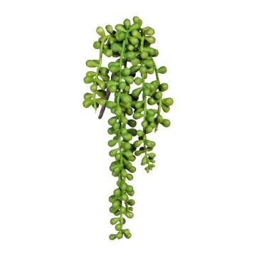 Plante succulente artificielle « plante à pois » FERTIN, tige, verte, 35 cm Plante succulente artificielle « plante à pois » FERTIN, tige, verte, 35 cm