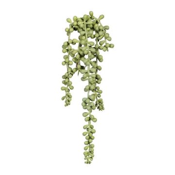 Plante succulente artificielle « pois » FERTIN, tige, gris-vert, 35 cm Plante succulente artificielle « pois » FERTIN, tige, gris-vert, 35 cm