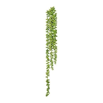 Plante succulente artificielle « plante à pois » FERTIN, tige, verte, 70 cm Plante succulente artificielle « plante à pois » FERTIN, tige, verte, 70 cm