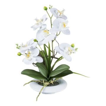 Composition florale en fleurs artificielles : orchidée Phalaenopsis HIKABU avec saule torsadé, pot en céramique, racines, blanc, 40 cm Composition florale en fleurs artificielles : orchidée Phalaenopsis HIKABU avec saule torsadé, pot en céramique, racines, blanc, 40 cm