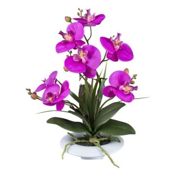 Composition florale artificielle d'orchidée Phalaenopsis HIKABU avec saule torsadé, pot en céramique, racines, lilas, 40cm Composition florale artificielle d'orchidée Phalaenopsis HIKABU avec saule torsadé, pot en céramique, racines, lilas, 40cm