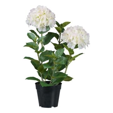 Fleur décorative Hortensia BINEFA, blanc, 60cm