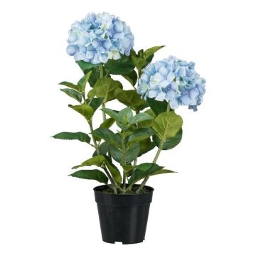 Fleur décorative Hortensia BINEFA, bleu clair, 60cm