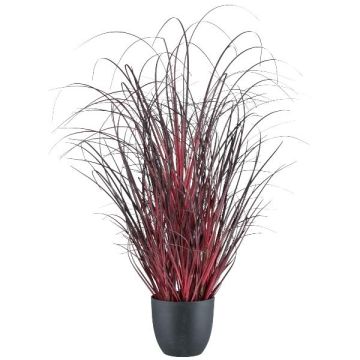 Fausse herbe Pennisetum setaceum TUNPA en pot décoratif, rouge foncé, 60cm