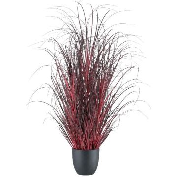 Fausse herbe Pennisetum setaceum TUNPA en pot décoratif, rouge foncé, 80cm