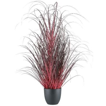 Fausse herbe Pennisetum setaceum TUNPA en pot décoratif, rouge foncé, 100cm