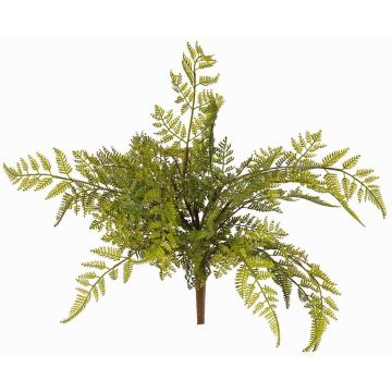Fausse fougère ÖZDEN sur tige, verte, 40cm, Ø45cm Fausse fougère ÖZDEN sur tige, verte, 40cm, Ø45cm