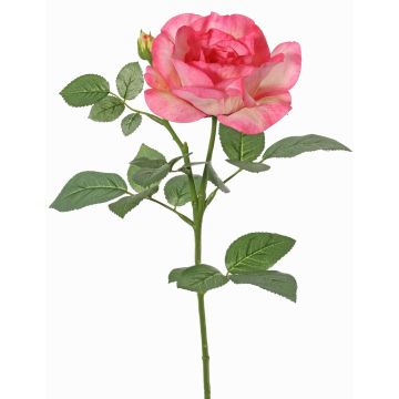Fleur artificielle Rose WAIOLA, rose-fuchsia, 65 cm, Ø 11 cm Fleur artificielle Rose WAIOLA, rose-fuchsia, 65 cm, Ø 11 cm