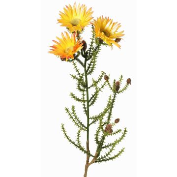 Fleur artificielle « Cap Strawflower » BEYA, jaune-orange clair, 60 cm, Ø 6 cm