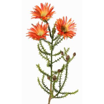 Fleur artificielle « Cap Strawflower » BEYA, orange-jaune, 60 cm, Ø 6 cm