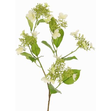Branche d'hortensia artificielle KATHANI, blanc-vert, 80 cm, Ø 10-13 cm Branche d'hortensia artificielle KATHANI, blanc-vert, 80 cm, Ø 10-13 cm