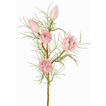 Branche décorative de protéa NOHEA, rose-blanc, 60 cm, Ø 3-6 cm Branche décorative de protéa NOHEA, rose-blanc, 60 cm, Ø 3-6 cm