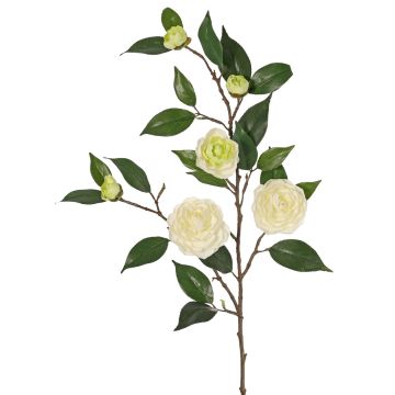 Branche de camélia artificielle YARINA avec fleurs, crème-vert, 75 cm