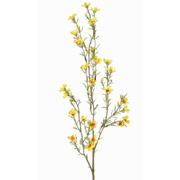 Fleur de cire artificielle NIANG, jaune, 80cm, Ø1,5-2,5cm Fleur de cire artificielle NIANG, jaune, 80cm, Ø1,5-2,5cm