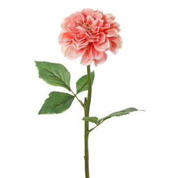 Dahlia artificiel TINKALA, rose pâle, 60 cm, Ø 12 cm Dahlia artificiel TINKALA, rose pâle, 60 cm, Ø 12 cm