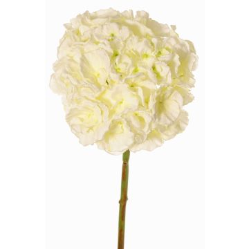Hortensia artificiel LIRLAFY, blanc-vert, 65 cm, Ø 20 cm Hortensia artificiel LIRLAFY, blanc-vert, 65 cm, Ø 20 cm