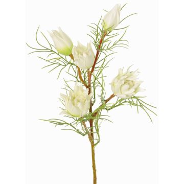 Branche décorative de protéa NOHEA, blanche, 60 cm, Ø 3-6 cm Branche décorative de protéa NOHEA, blanche, 60 cm, Ø 3-6 cm