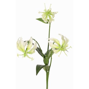 Fleur décorative Gloriosa XELA, blanc-vert, 50 cm, Ø 4-7 cm