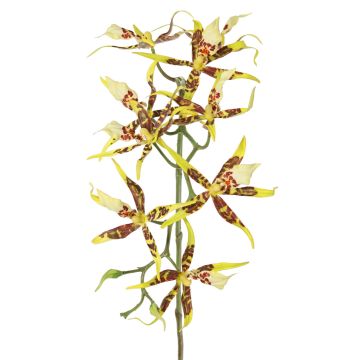 Orchidée Brassia artificielle ORELA, jaune-rouge, 90cm Orchidée Brassia artificielle ORELA, jaune-rouge, 90cm