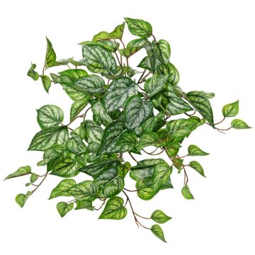 Suspension artificielle Pothos tacheté KEVINA sur piquet, collection écologique, vert-blanc, 55cm Suspension artificielle Pothos tacheté KEVINA sur piquet, collection écologique, vert-blanc, 55cm