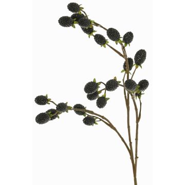 Branche décorative de mûre URUMA avec fruits, noire, 90cm