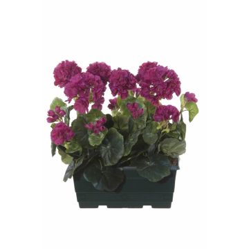 Géraniums artificiels FLOREANA en jardinière, lot de 2, rouge bordeaux, 24 x 11 x 35 cm Géraniums artificiels FLOREANA en jardinière, lot de 2, rouge bordeaux, 24 x 11 x 35 cm