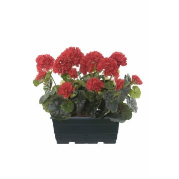 Géraniums artificiels FLOREANA dans une jardinière, lot de 2, rouges, 24 x 11 x 35 cm Géraniums artificiels FLOREANA dans une jardinière, lot de 2, rouges, 24 x 11 x 35 cm