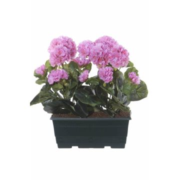 Géraniums artificiels FLOREANA en jardinière, lot de 2, violet, 24 x 11 x 35 cm Géraniums artificiels FLOREANA en jardinière, lot de 2, violet, 24 x 11 x 35 cm