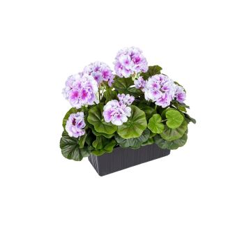 Géraniums artificiels FLOREANA en jardinière, lot de 2, violet et blanc, 24 x 11 x 35 cm