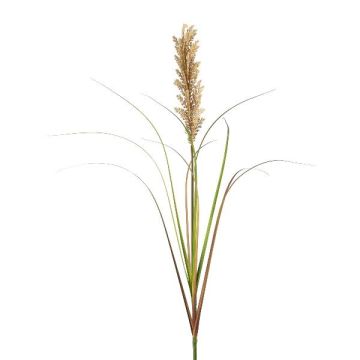 Herbe décorative Panicum miliaceum CUVRO sur piquet, vert, 105cm