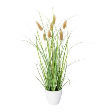 Herbe décorative Lagurus ovatus BIRVO dans un cache-pot en mélamine, panicules, beige, 40cm