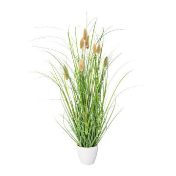 Herbe décorative Lagurus ovatus BIRVO dans un cache-pot en mélamine, panicules, beige, 50cm