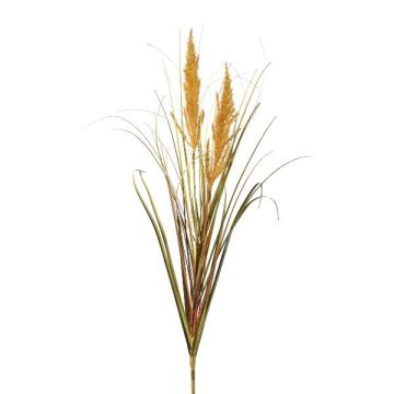 Herbe décorative Herbe de la pampa WAHAN avec des panicules, piquet, brun, 105cm