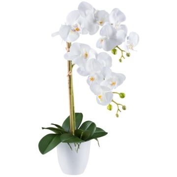 Fleur décorative Orchidée Phalaenopsis BLENTOR dans un cache-pot en mélamine, racines, blanc, 55cm