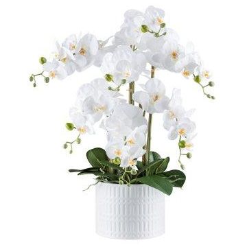Fleur décorative Orchidée Phalaenopsis TOUNI, pot en céramique, racines, blanc, 60cm