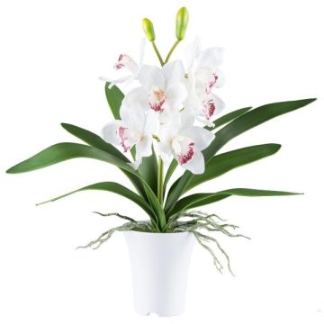 Orchidée Cymbidium en tissu BLORKE dans un cache-pot en mélamine, racines, blanc-rose, 55cm